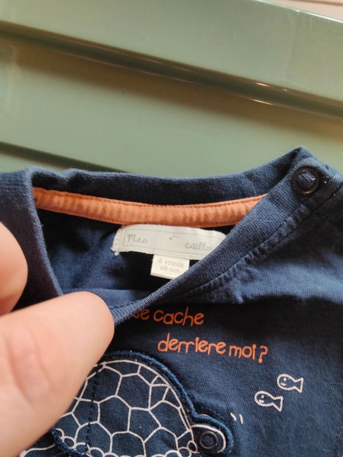 Tee shirt tortue 🐢 - photo numéro 2