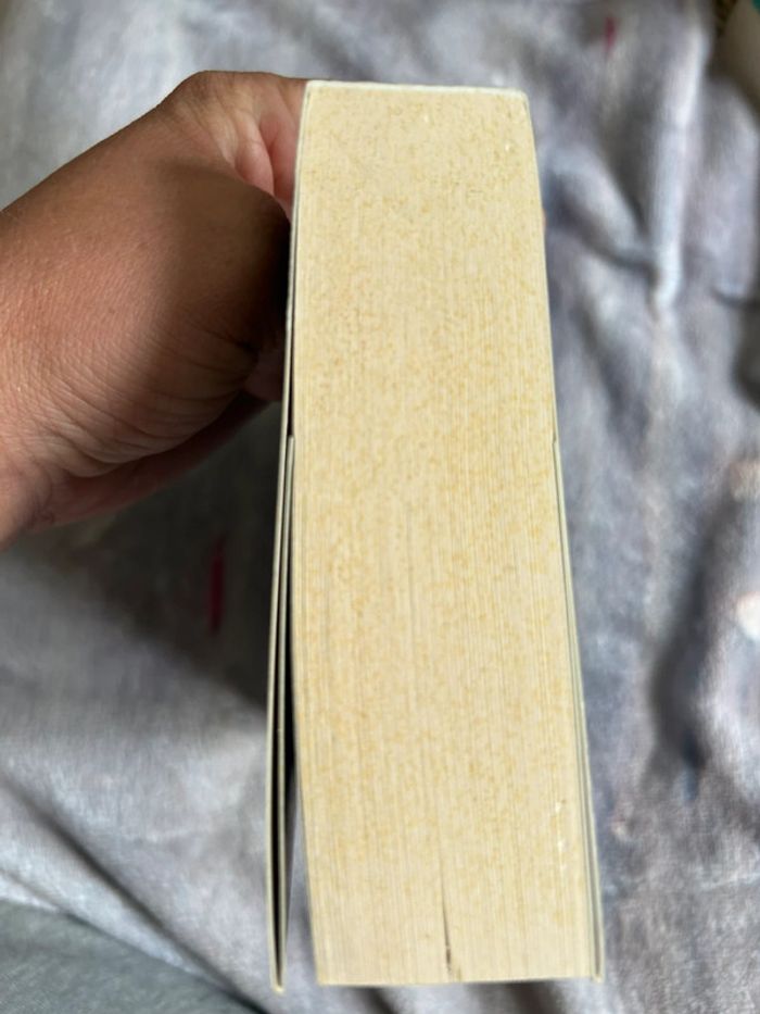 Livre un ange à la fenêtre - Darcie Chan - photo numéro 4
