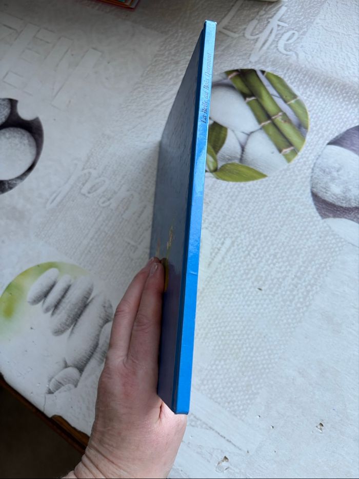 Livre Disney - photo numéro 6