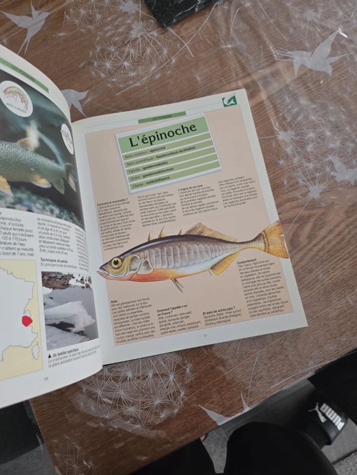Atlas sur la pêche - photo numéro 4