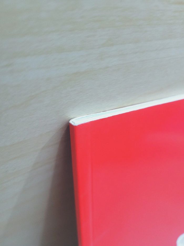 🌺 Livre (école des loisirs) : Grand - photo numéro 6