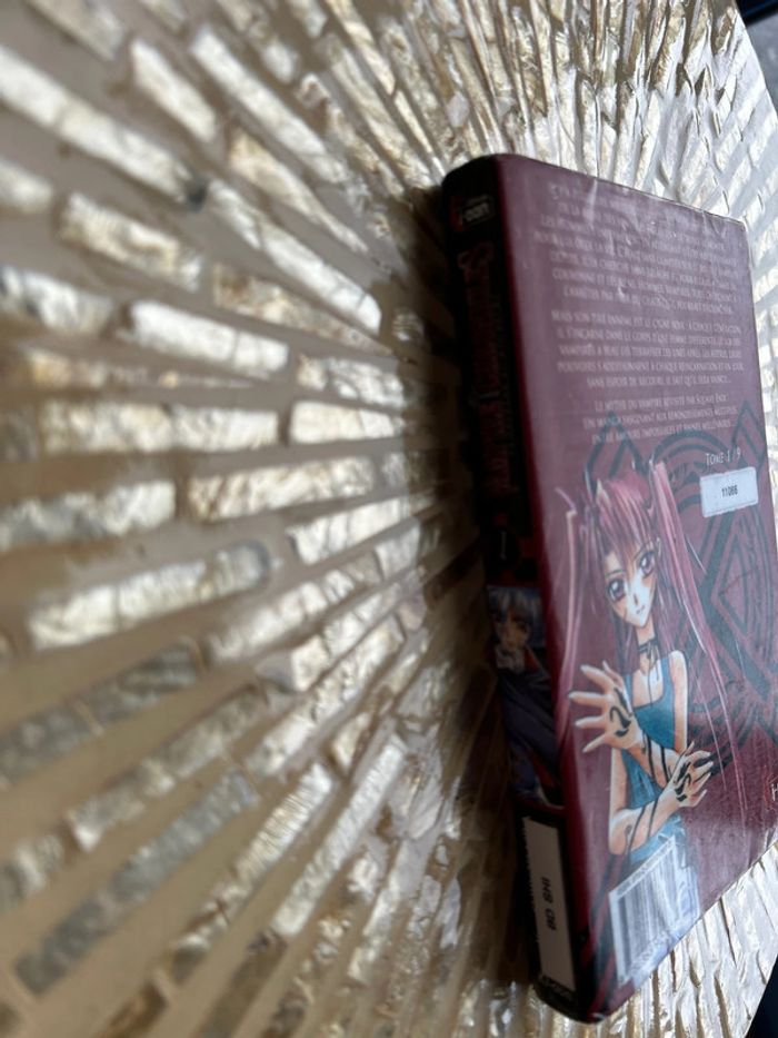 Vampire chronicles tome 1 - photo numéro 5
