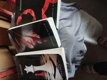 lot 3 livres Stephanie Meyer Hésitation , Tentation, Révélation
