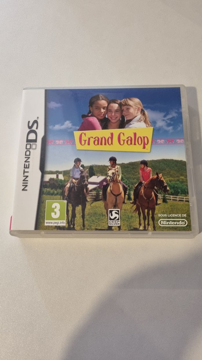 Jeu DS/3DS - photo numéro 3