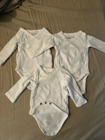 Lot de 3 Bodies