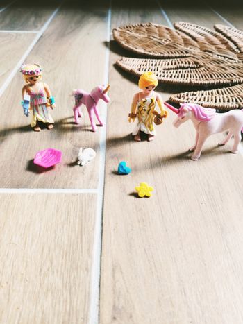 🧚Playmobil fairies/féerie lot de figurines fée nymphe, licornes et accessoires (MMS)