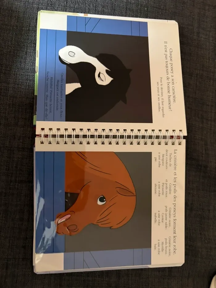 Livre le poney club - photo numéro 2