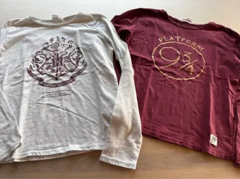 Lot de 2 tee shirts Harry Potter
