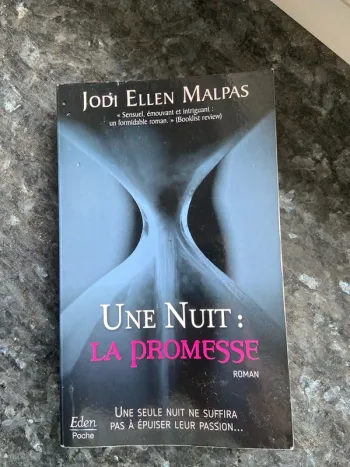 Livre romance « une nuit : la promesse »