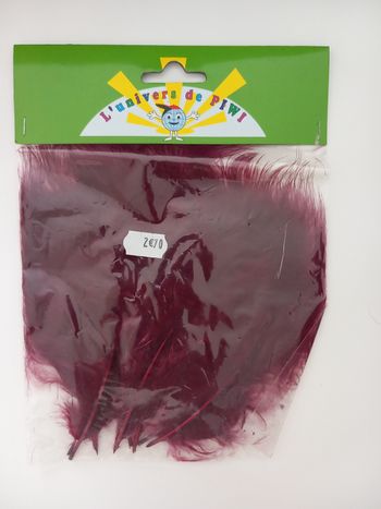 Plumes bordeaux diy déco ou loisirs créatifs