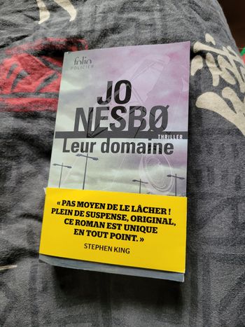Leur domaine Jo Nesbo