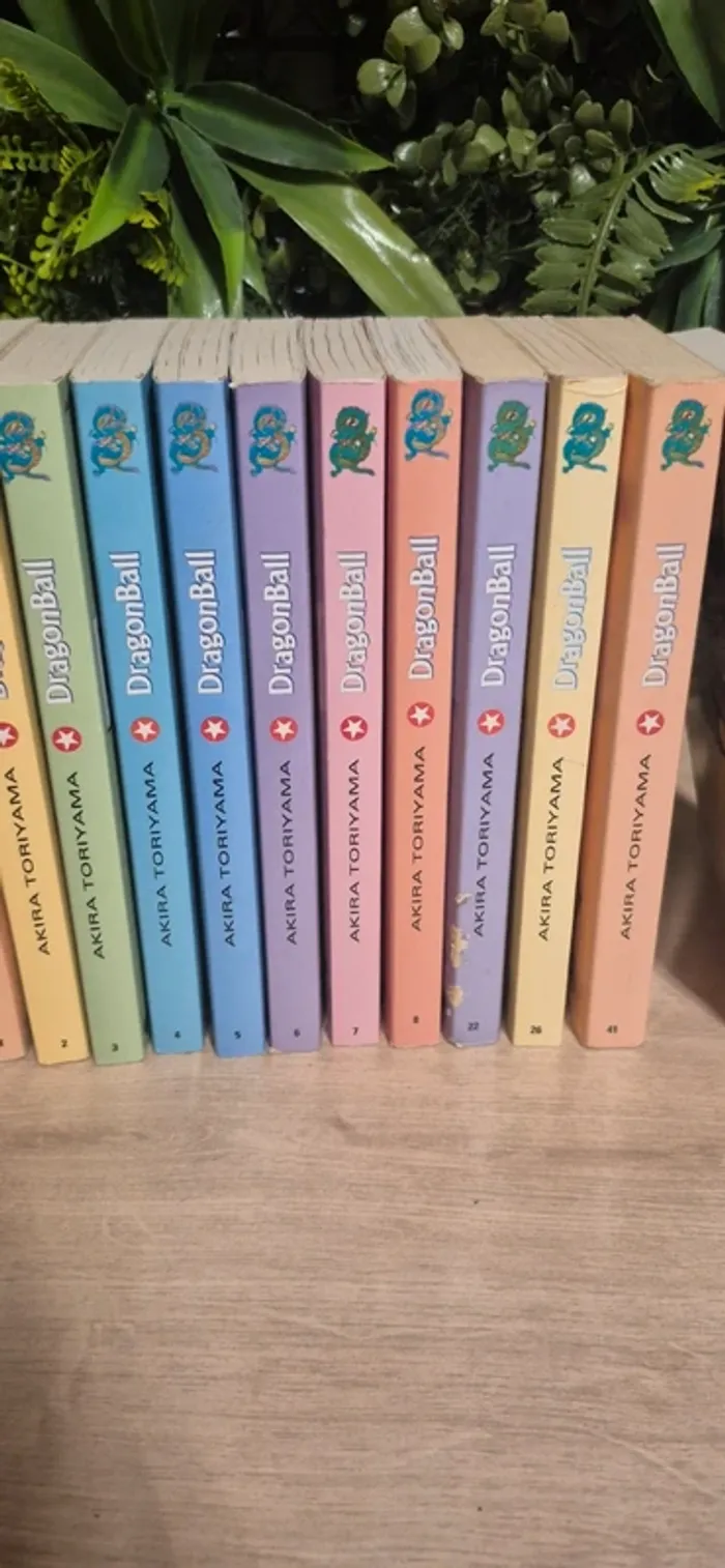 Livre dragon ball - photo numéro 4