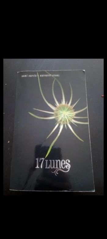 Livre 17 lunes