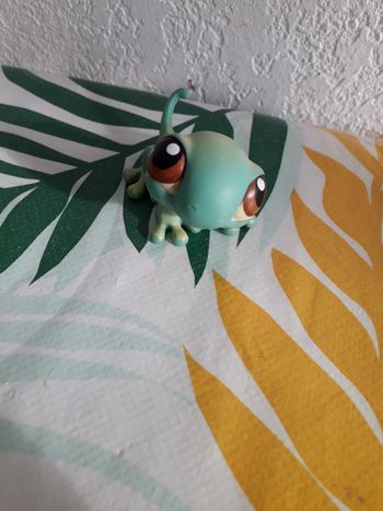 Petshop lézard