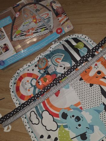 Tapis d'éveil bébé 