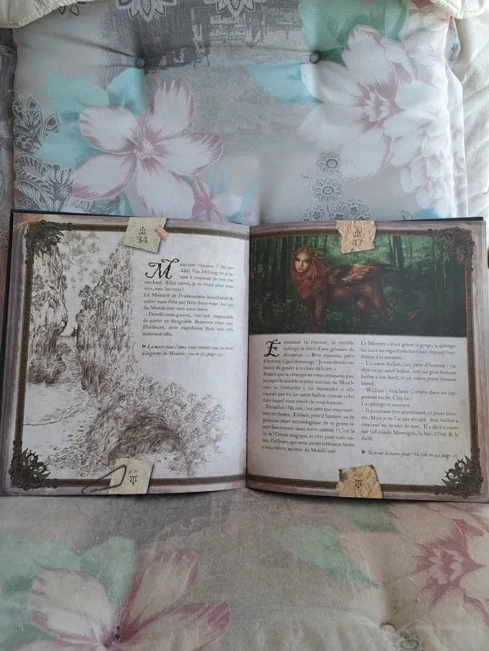 Quête dans le monde noir - photo numéro 5