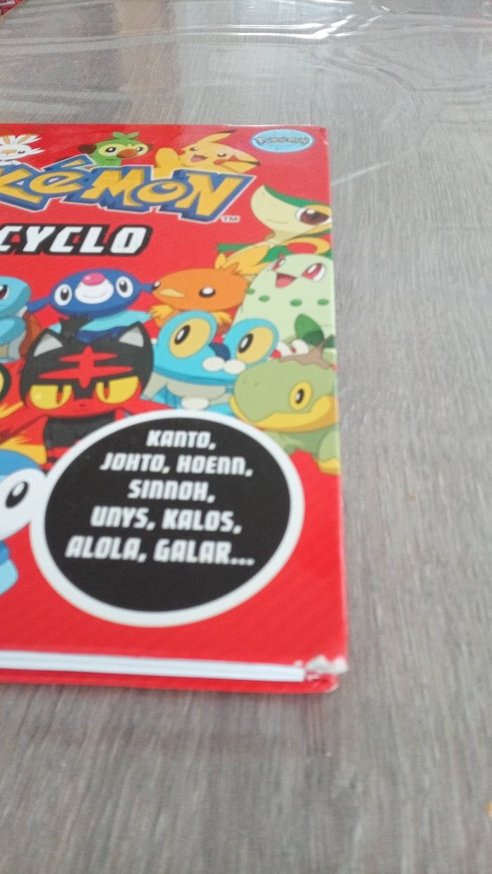 Livre pokémon - photo numéro 3