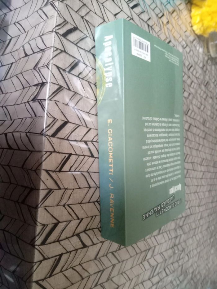 Roman : " Apocalypse ". - photo numéro 6