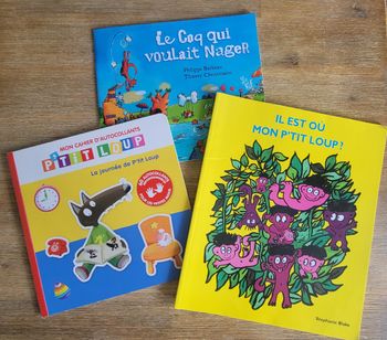 Lot 3 livres pour enfant