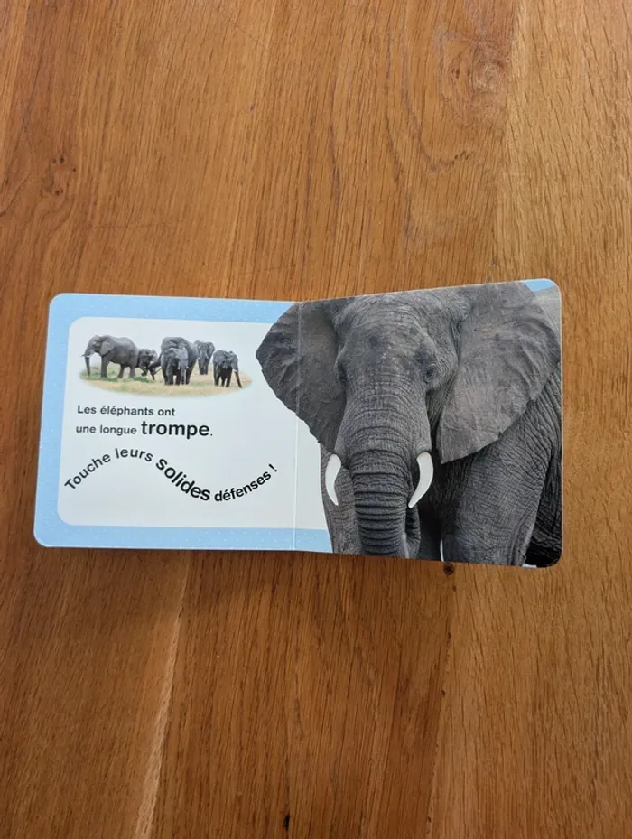 Livre à toucher au Zoo - photo numéro 4