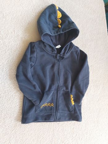 Sweat capuche Dinosaure