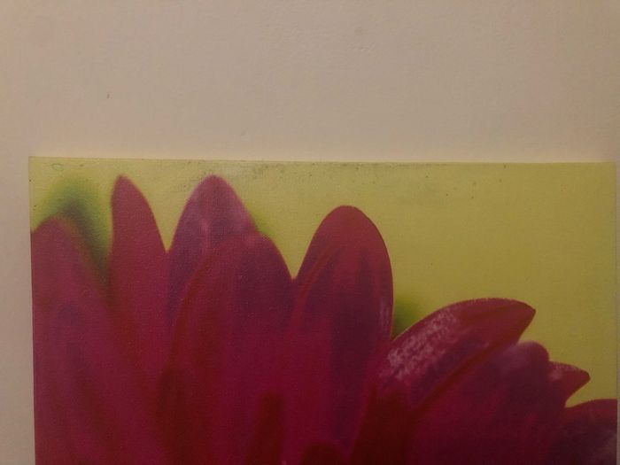 Cadre vert anis et rose fuchsia - photo numéro 2