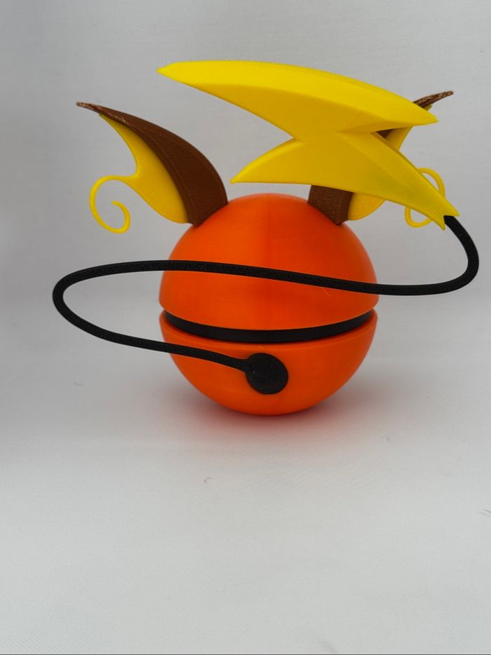 Pokeball raichu - photo numéro 3