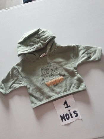 Pull 1mois