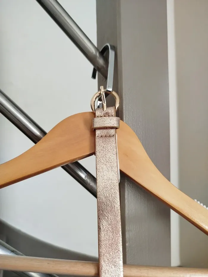 Ceinture dorée - photo numéro 3