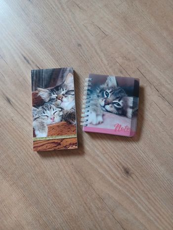Lot carnets chats