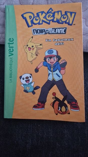 Pokemon un fabuleux defi