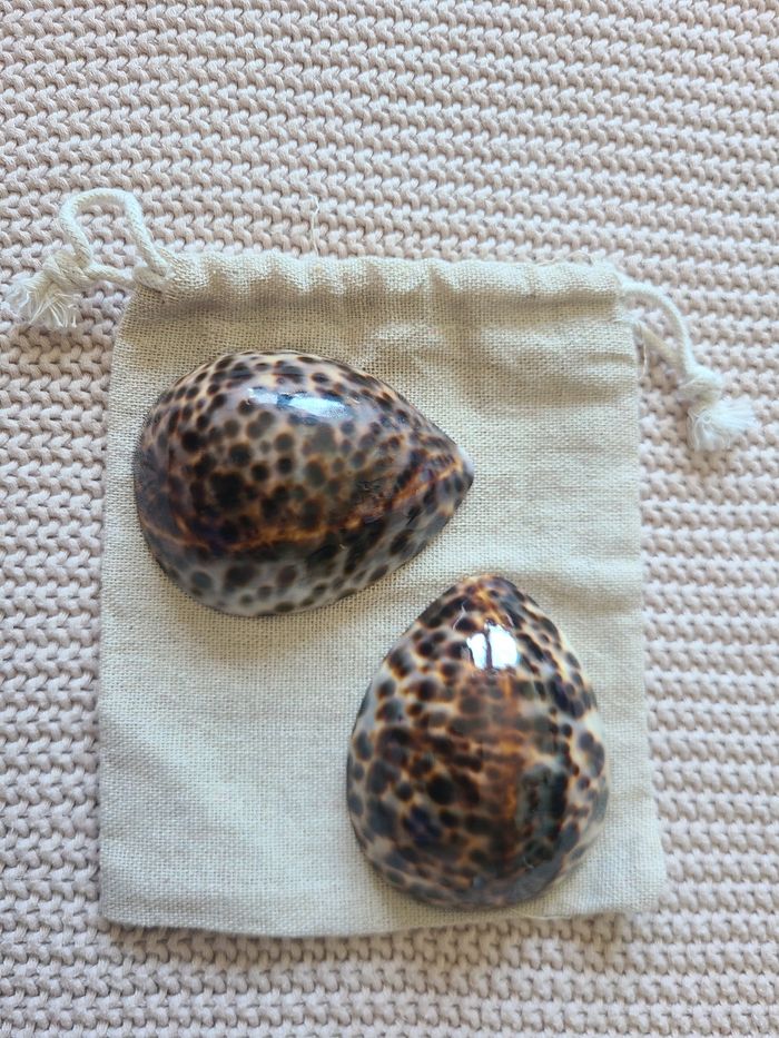 Coquillages d’allaitement taille L – Irréversible Bijoux - photo numéro 9
