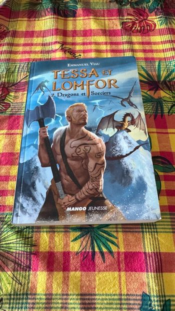 Tessa et Lomfor T2 – Dragons et Sorciers | Roman Fantasy dès 11 ans