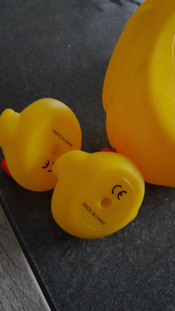 Canards - photo numéro 4