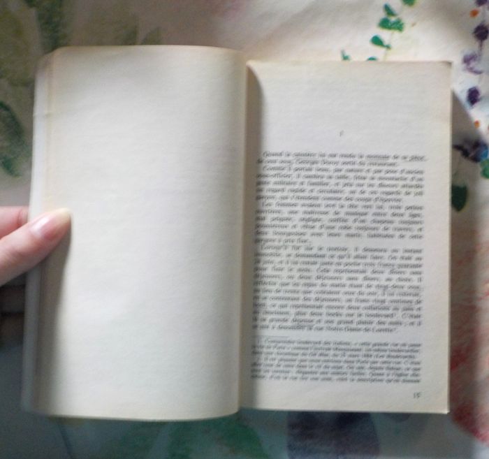 BEL-AMI de MAUPASSANT Ed. Classique Livre de Poche - photo numéro 8