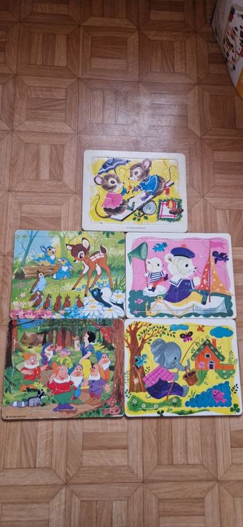 Lot de 5 puzzles cartonnés