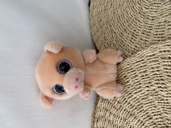 « Piggley » le cochon de Ty Beanie Boo