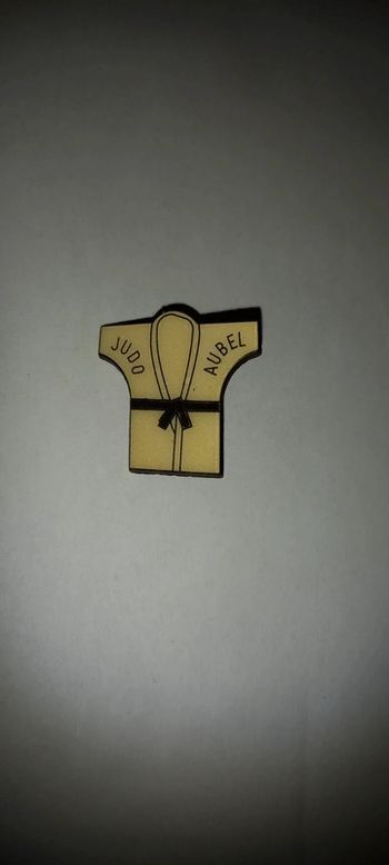Pin's judo aubel
