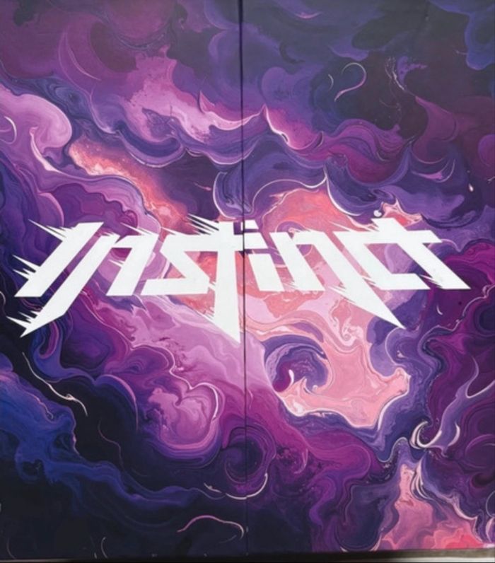 Box collector Instinct tome 2 Inoxtag - photo numéro 8