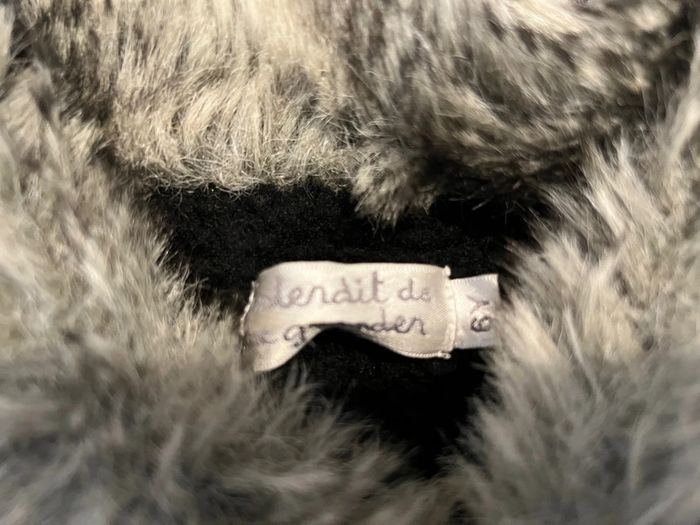 veste interdit de le gronder - photo numéro 14