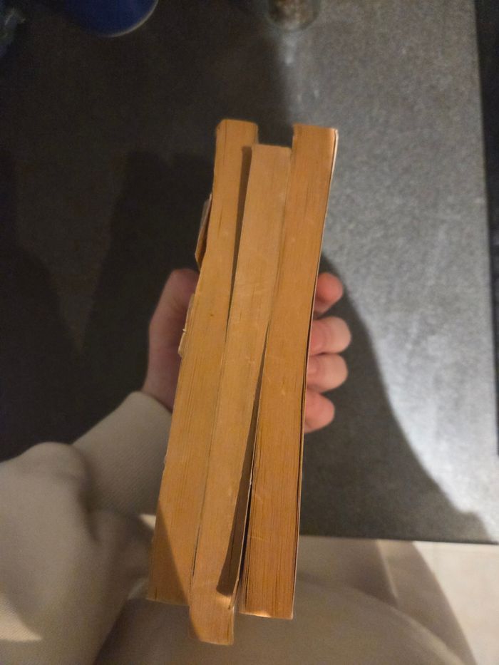 Lot de livre clive baker apocalypse prison de chair la mort la vie son oeuvre - photo numéro 5