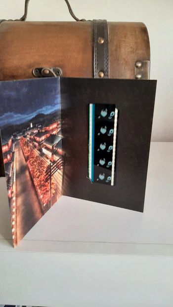 Pellicule Demon Slayer Obanai Iguro