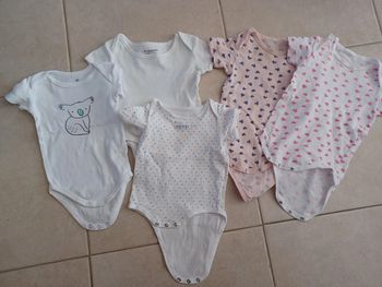 Lot de 5 bodies 9 mois
