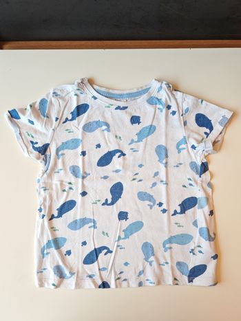 T-shirt baleines Poco Piano 5 ans 