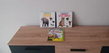 Livres enfant Je découvre les animaux de la jungle et sauvages