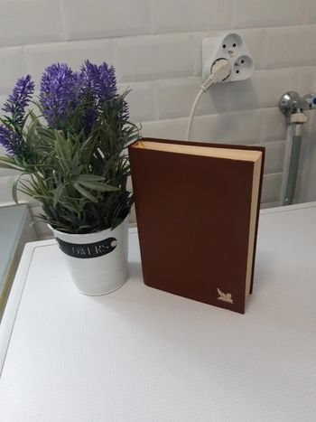 😺 livre multiples histoires sélection du livre😺