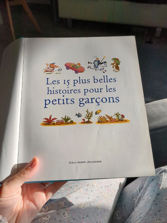 Livre d'histoires pour petit garçon - photo numéro 3