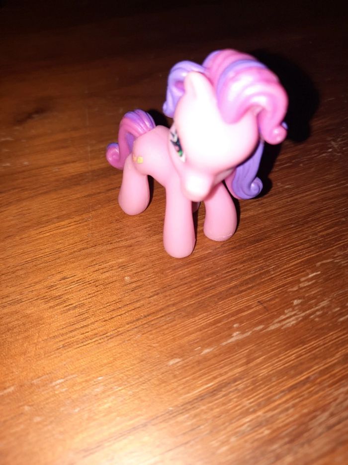 Petit poney - photo numéro 2