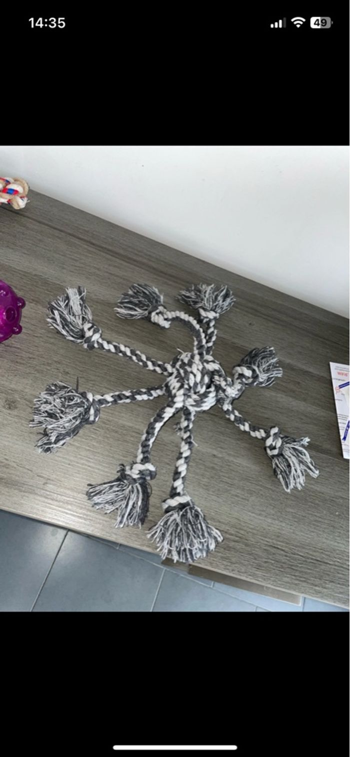 Lots jouets chien x4 - photo numéro 3