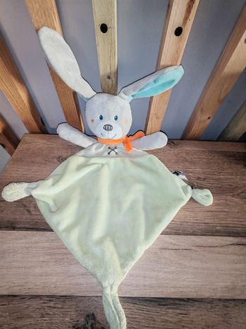 Lapin tex losange  vert  écharpe orange